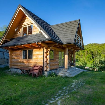 Gorczanskie Siedlisko Охотница-Гурна Экстерьер фото