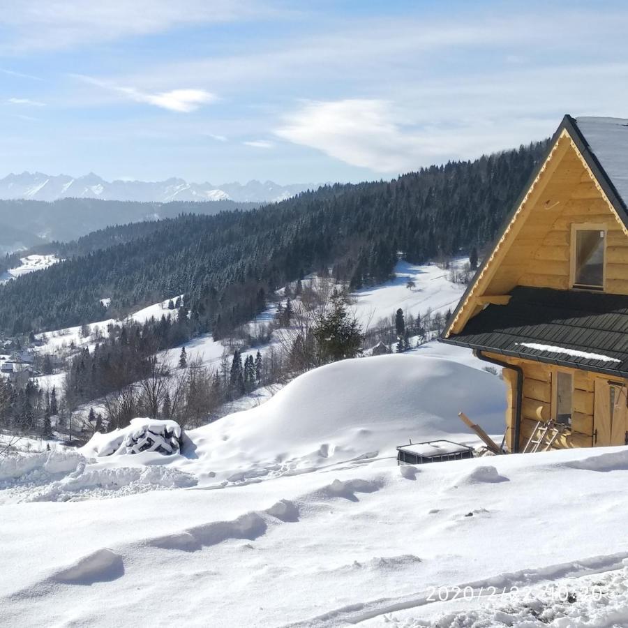 Gorczanskie Siedlisko Охотница-Гурна Экстерьер фото