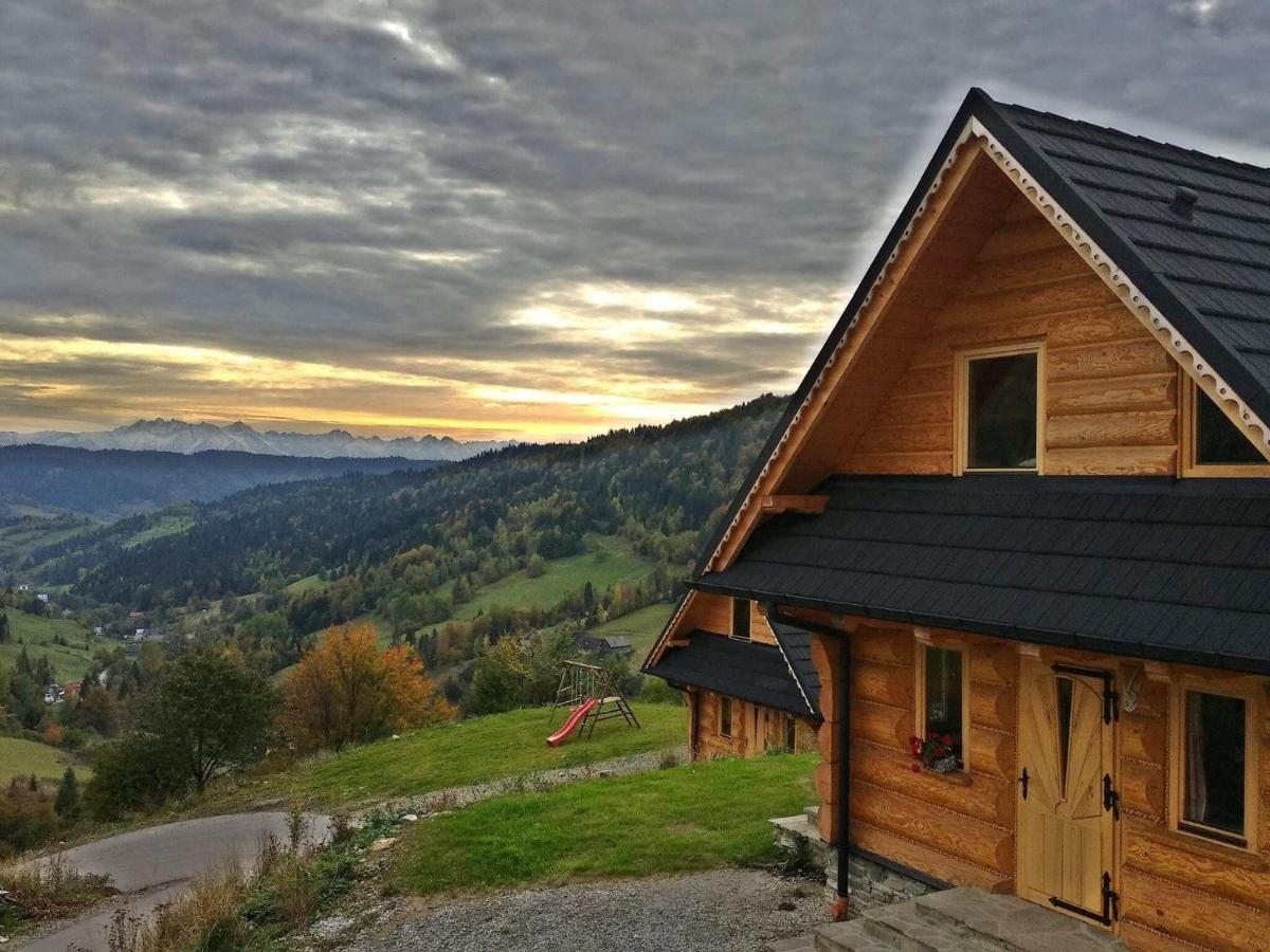 Gorczanskie Siedlisko Охотница-Гурна Экстерьер фото