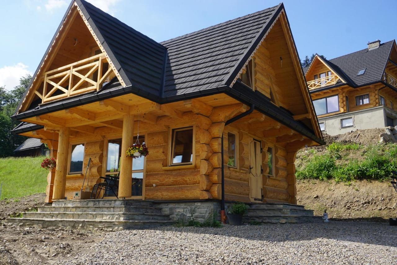 Gorczanskie Siedlisko Охотница-Гурна Экстерьер фото