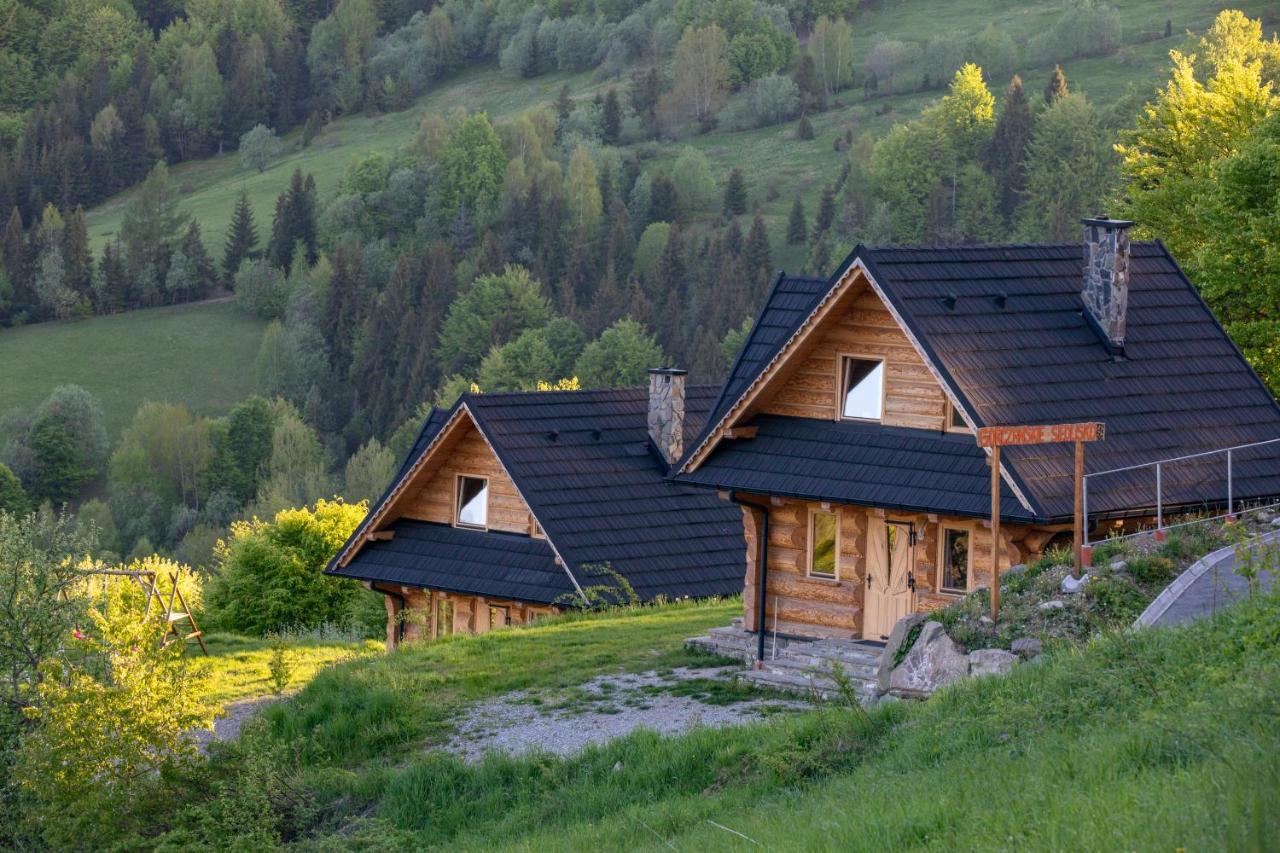 Gorczanskie Siedlisko Охотница-Гурна Экстерьер фото