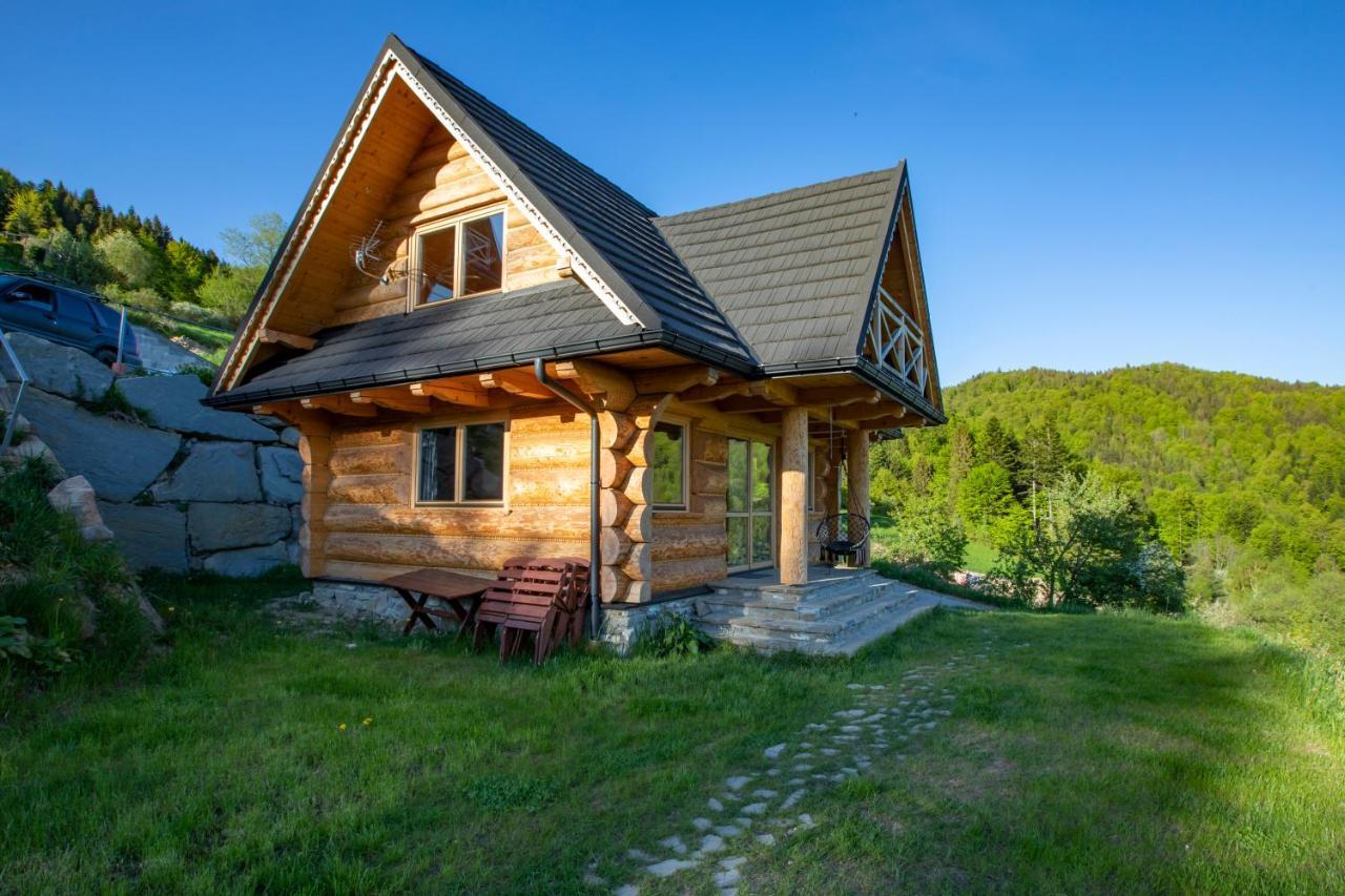 Gorczanskie Siedlisko Охотница-Гурна Экстерьер фото